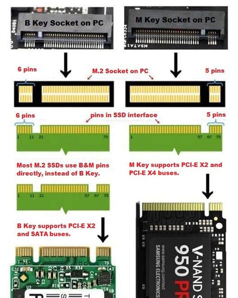 nvme vs m.2 slot difference